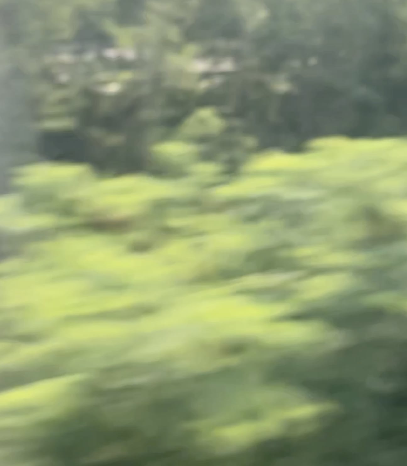 Blurred background